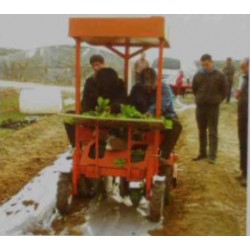 2-BIGDEL Motorlu kendi yürüyen Sebze fide dikim makinesi 1 sıralıü